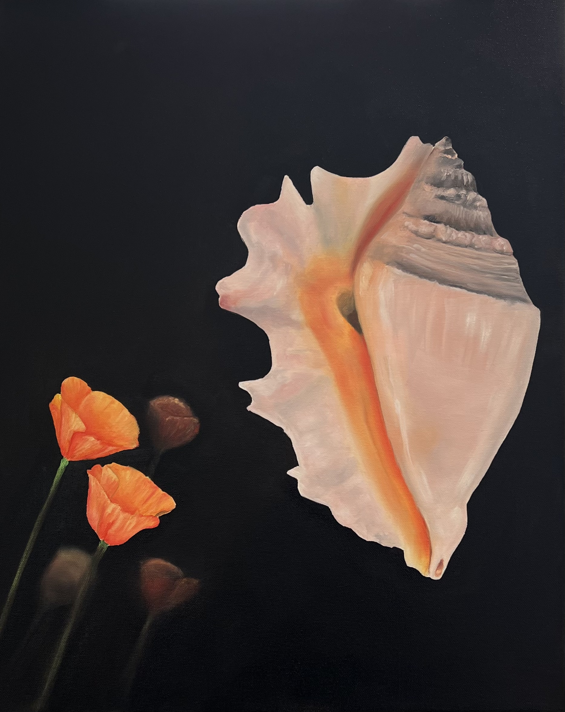Golden Poppy by the Sea - Original